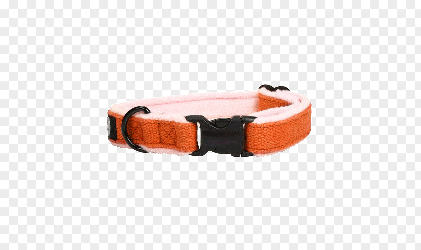 Dog Collar Clothing Accessories PNG