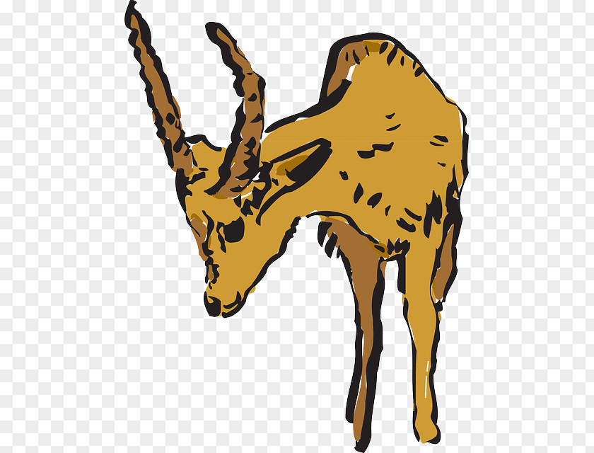 Giraffe Antelope Pronghorn Deer Clip Art PNG