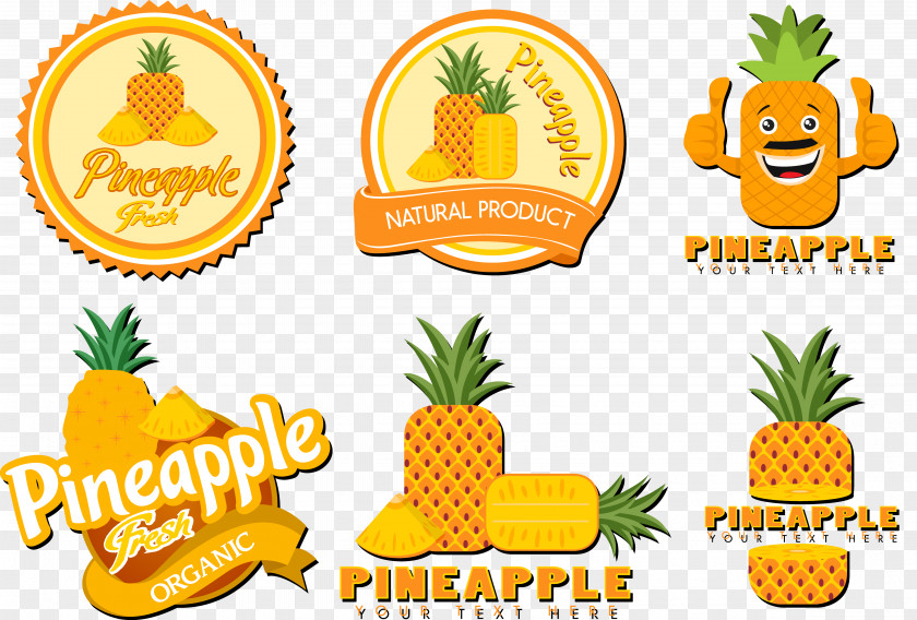 Pineapple Icon Set Vegetarian Cuisine Shape PNG