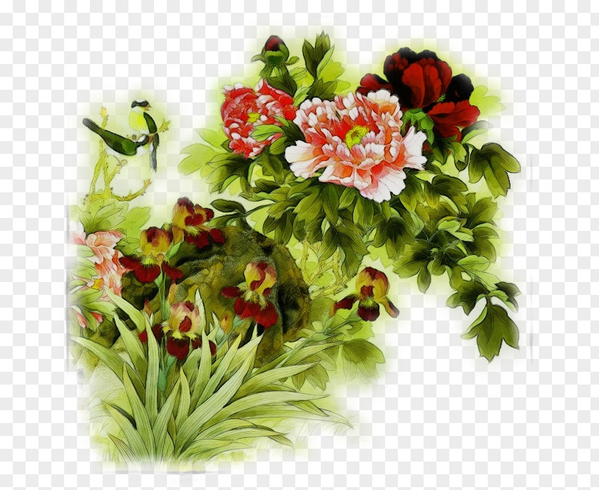 Chinese Peony Petal Flower Flowering Plant Bouquet PNG
