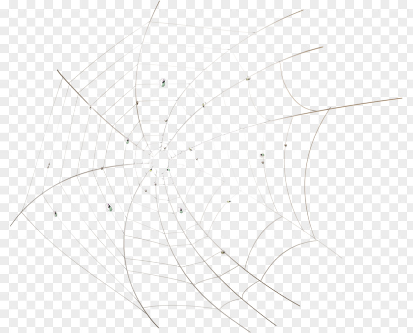 Hand-painted Spider Web White Symmetry Black Pattern PNG