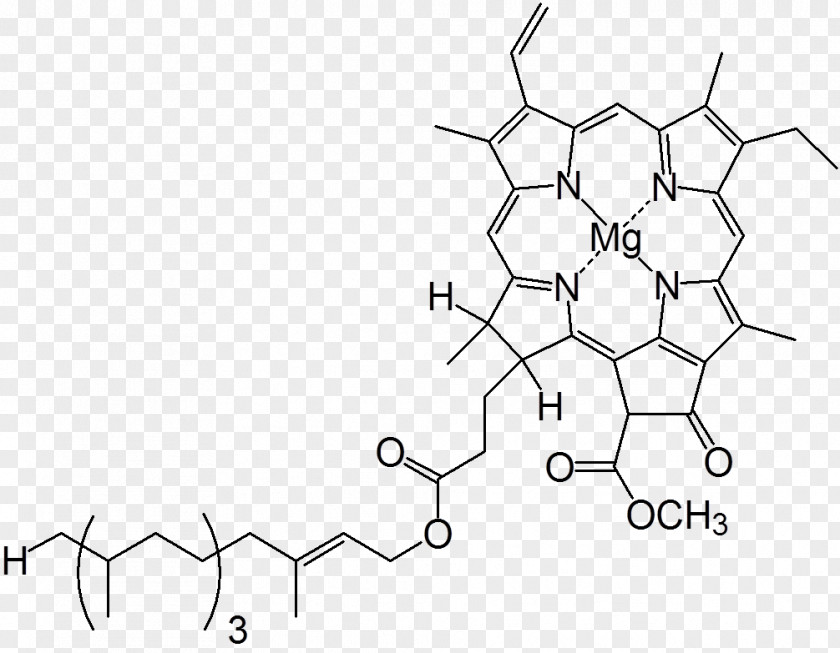 Light Chlorophyll Molecule Heterocyclic Compound Chloroplast PNG