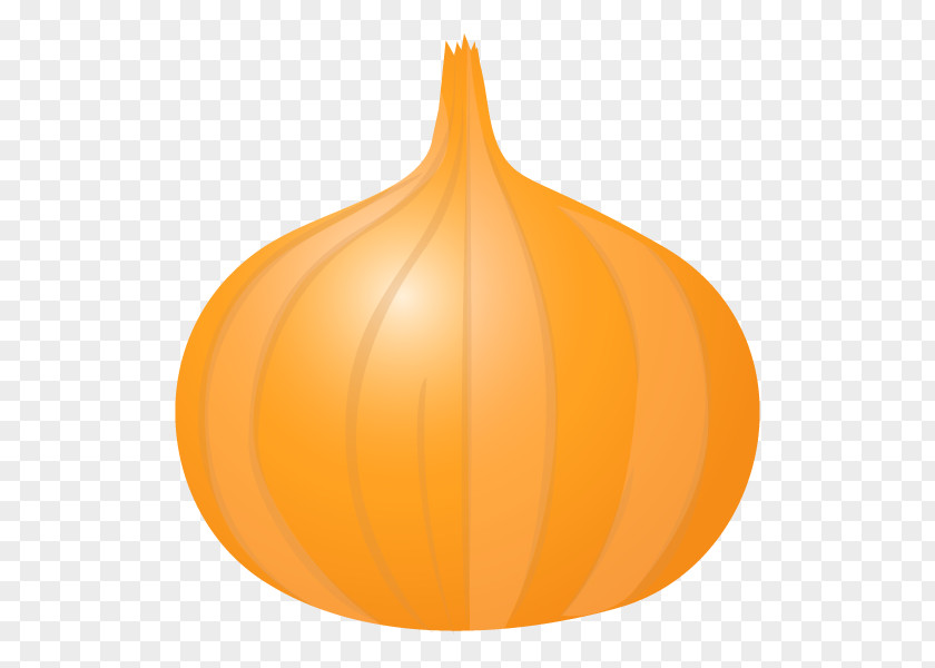 Onion Pumpkin Calabaza Vegetable Illustration PNG