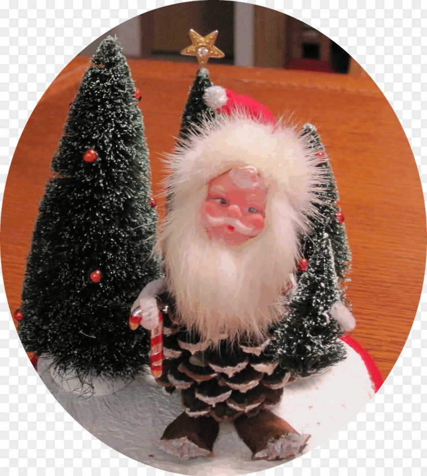 Pine Cone Christmas Ornament Snout Monkey Animal PNG