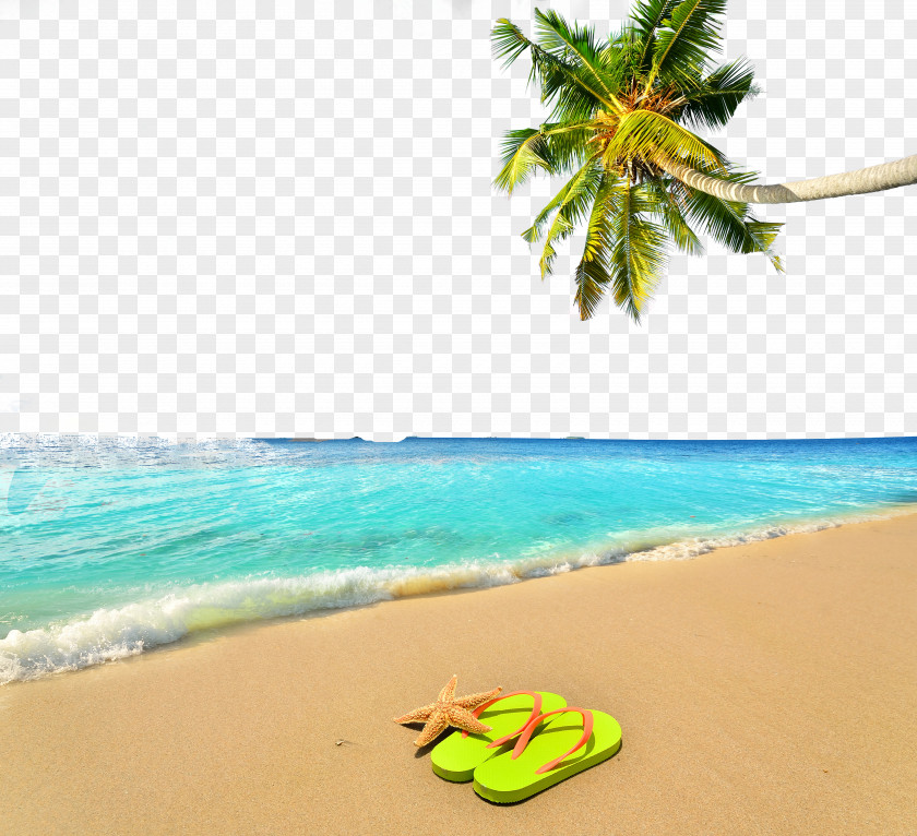 Summer Beach Poster Background Vacation PNG