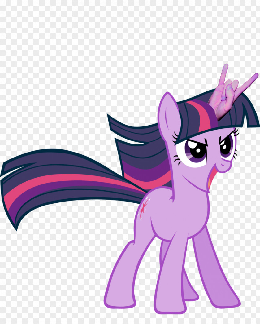 Twilight Sparkle Applejack Rainbow Dash Rarity Pony PNG
