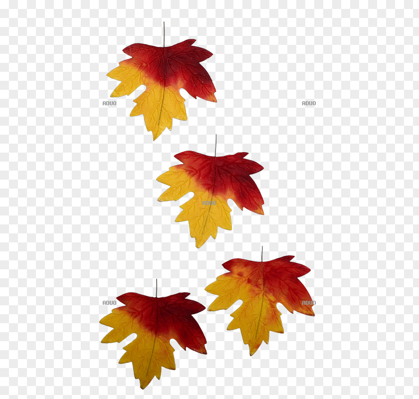 Deko Autumn Leaf Color Petal Tendril PNG
