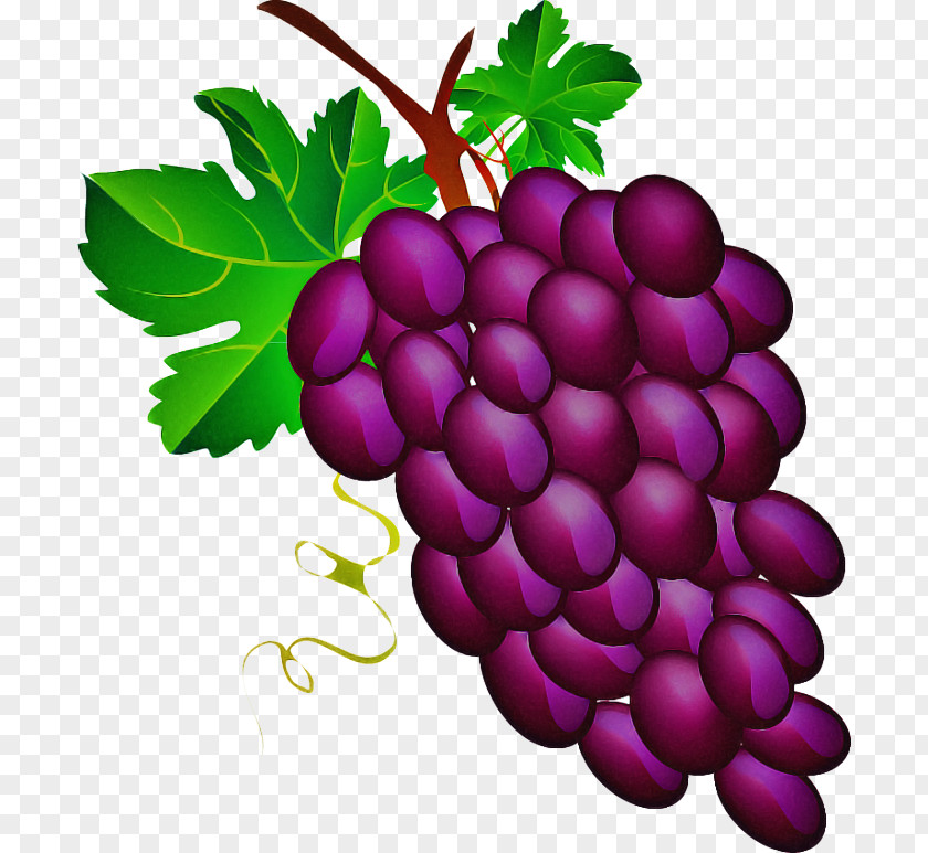 Food Fruit Grape Natural Foods Seedless Grapevine Family Radish PNG