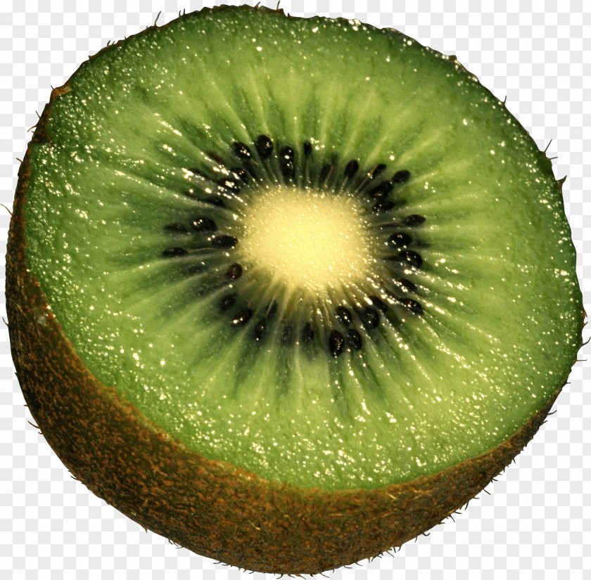 Fruit Pictures Kiwifruit Clip Art PNG