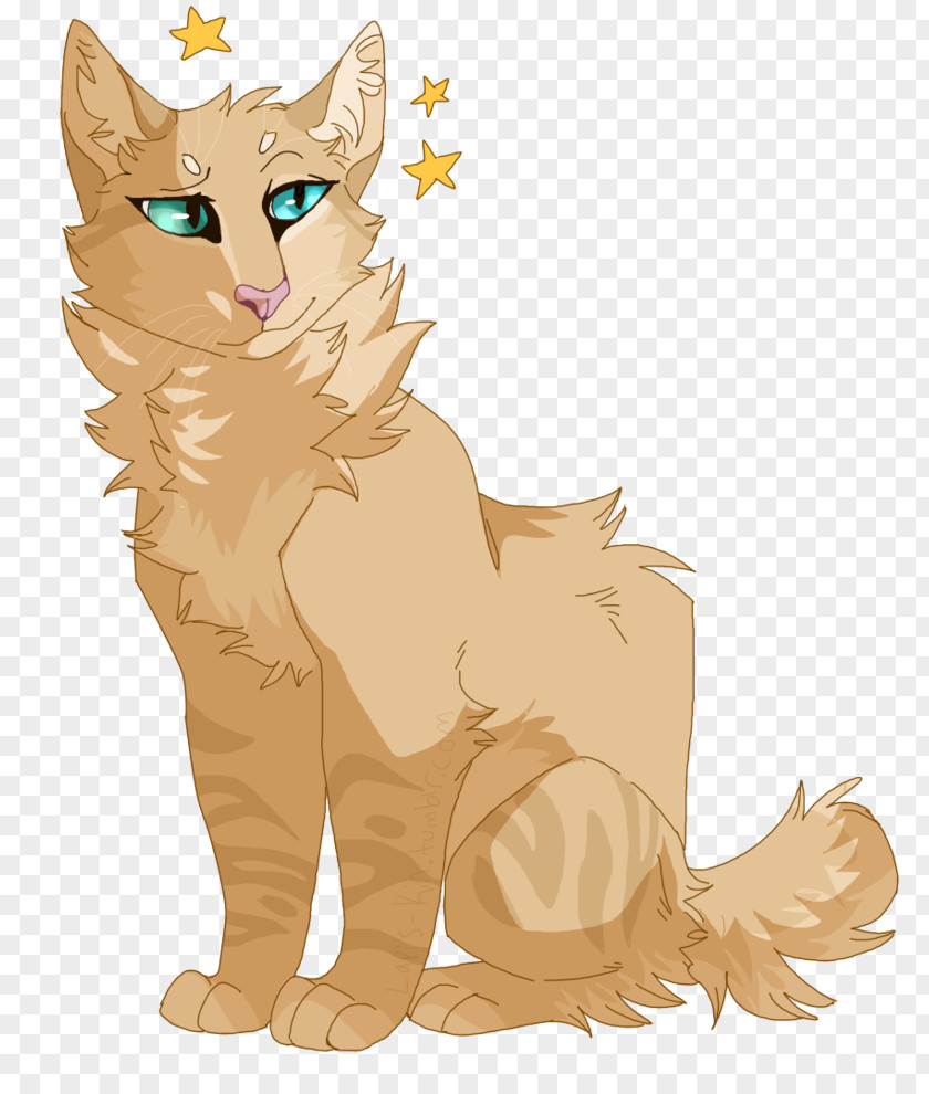 Kitten Whiskers Wildcat Lion PNG