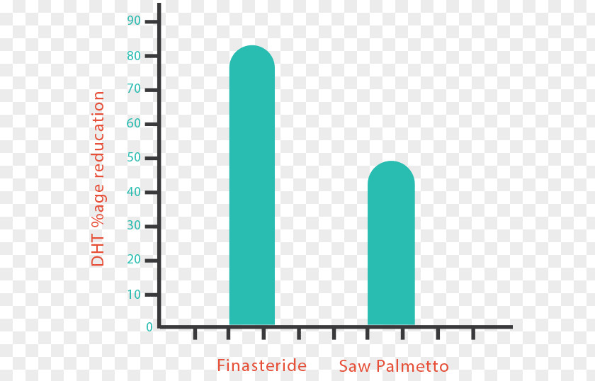 Saw Palmetto Finasteride Adverse Effect Hair Loss Extract Side PNG