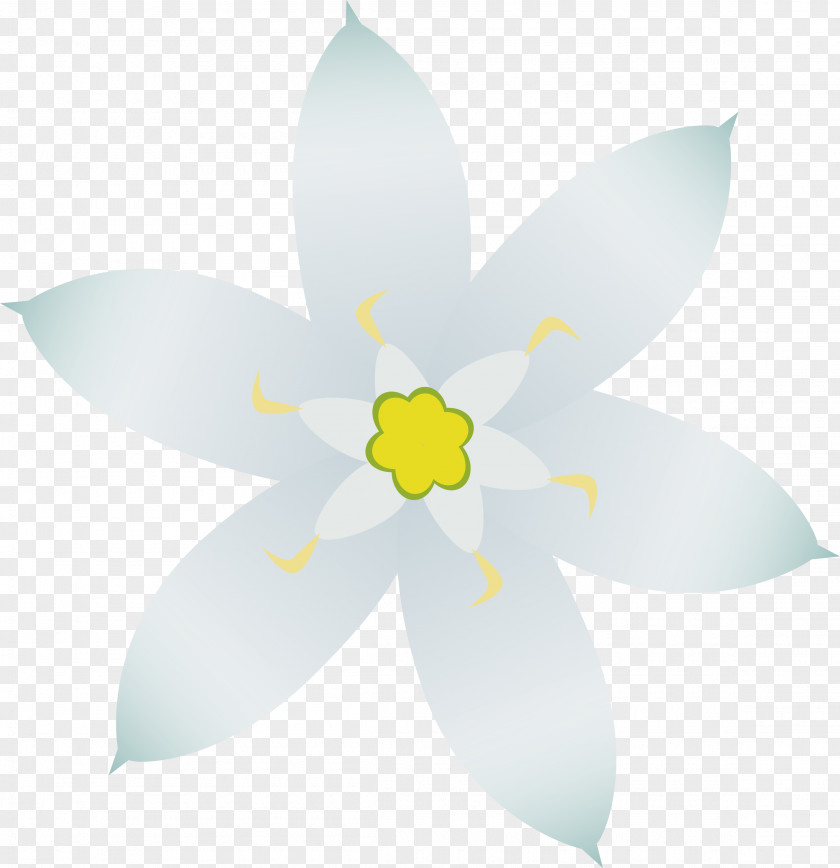 Small Flower Star Of Bethlehem Clip Art PNG