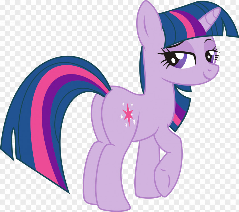 Sparkle Twilight Rarity Pony Pinkie Pie Applejack PNG