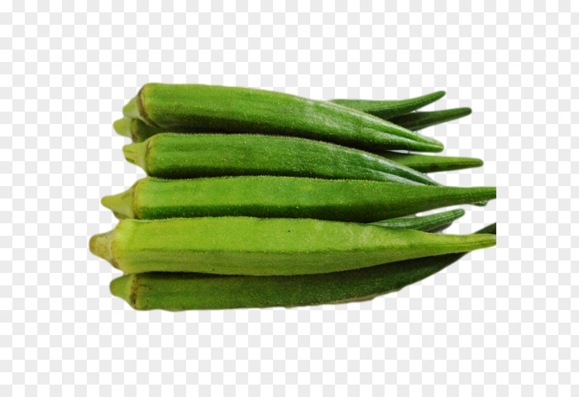 Vegetable Okra Ladyfinger Green Bean Ghormeh Sabzi PNG