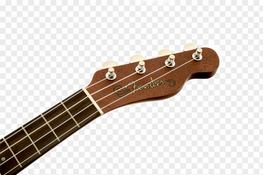 Acoustic Guitar Fender Jaguar Precision Bass CD-60 Musical Instruments Corporation Dreadnought PNG
