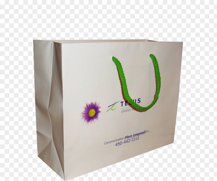 Box Paper Bag Shopping Bags & Trolleys PNG