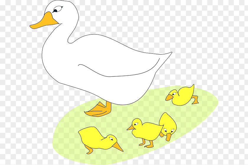 Classic Design White Goose Domestic Duck Clip Art PNG