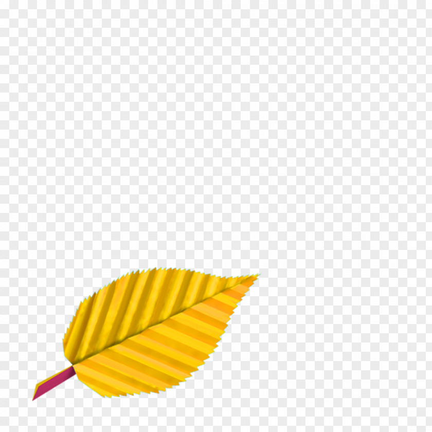 Leaf Line PNG