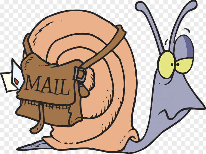 Snails Snail Mail Email Clip Art PNG