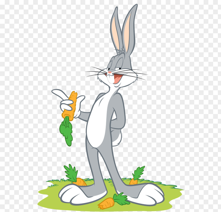 Bugs Bunny Tasmanian Devil Daffy Duck Elmer Fudd Yosemite Sam PNG