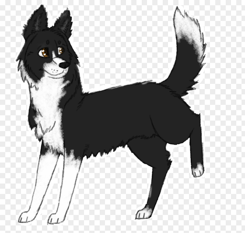 Cat Whiskers Karelian Bear Dog Siberian Husky Breed PNG