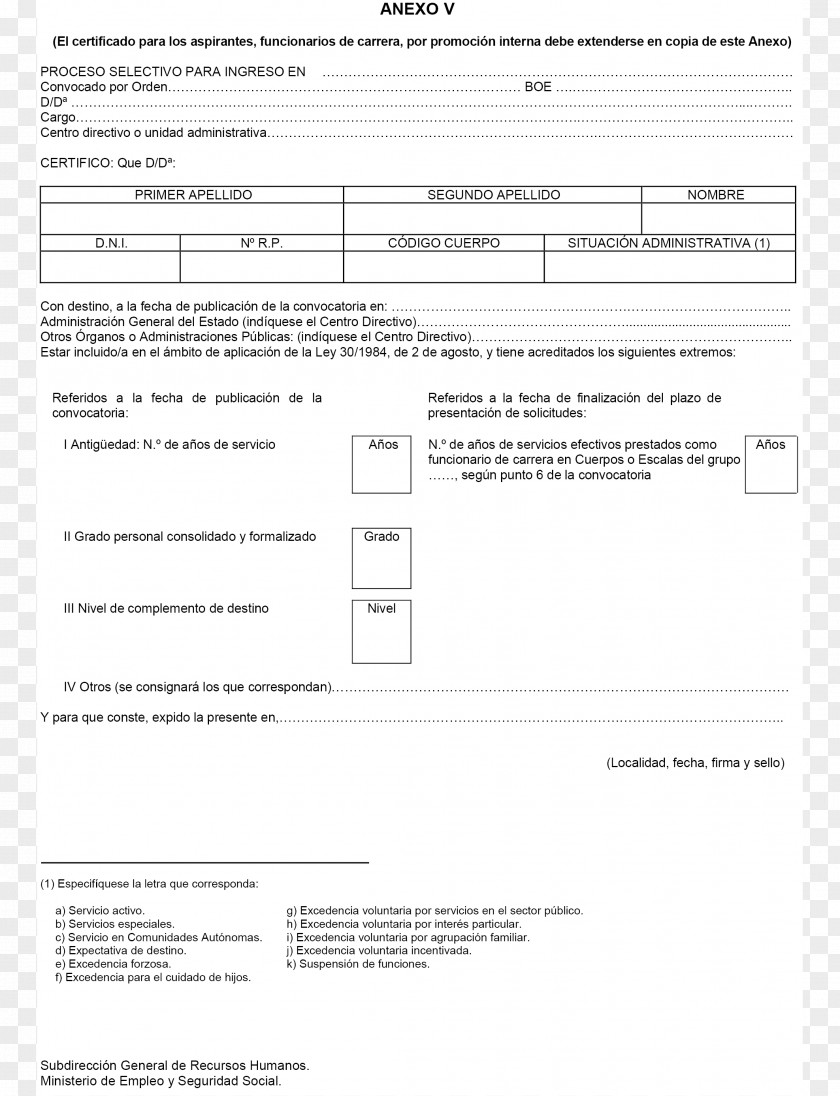 Line Document White PNG