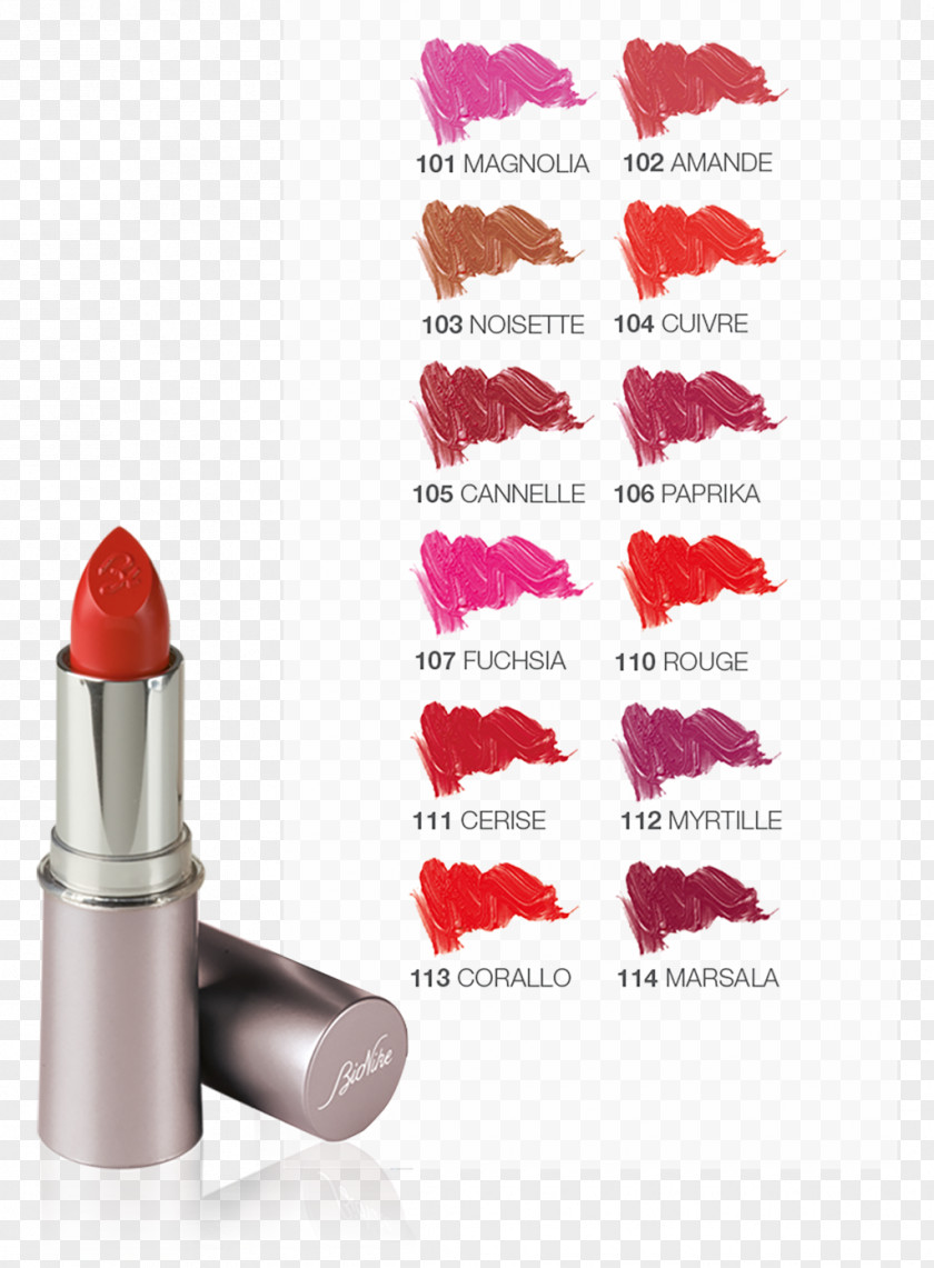 Lipstick Color Cosmetics Lip Gloss PNG