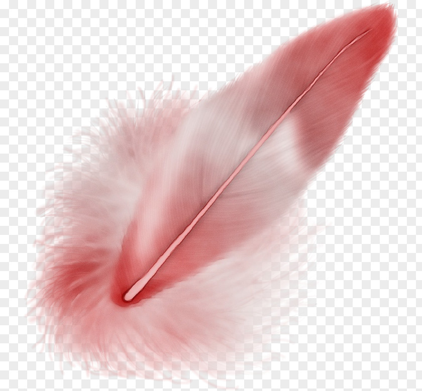 Natural Material Pen Feather PNG