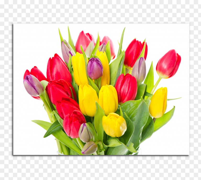 Tulip Flower Bouquet Cut Flowers Petal PNG