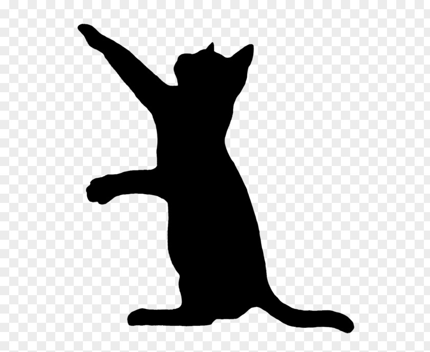 Cat Black Kitten Silhouette Clip Art PNG