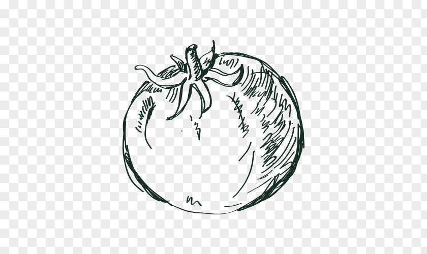 Fruit Apple Tree Drawing PNG