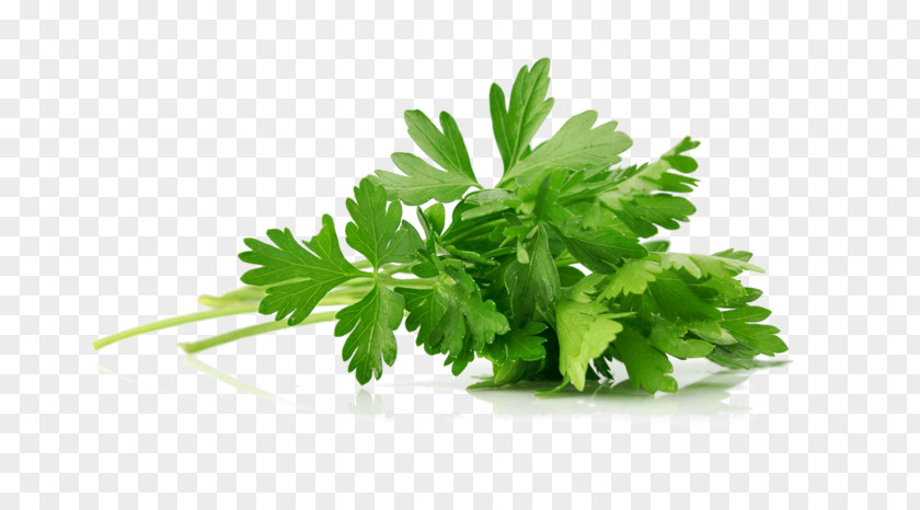 Oil Parsley Asian Cuisine Hummus Herb Spice PNG