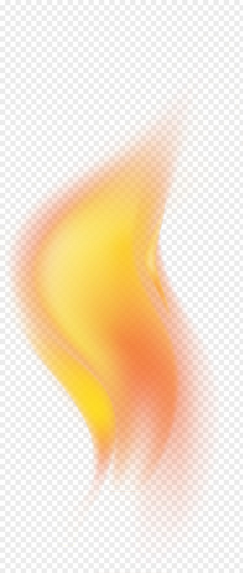 Orange Curve Flame Yellow Beak Close-up Wallpaper PNG