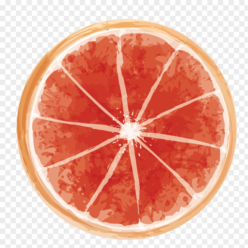 Vector Blood Orange Juice Lemon Grapefruit Orangelo Citrus Depressa PNG