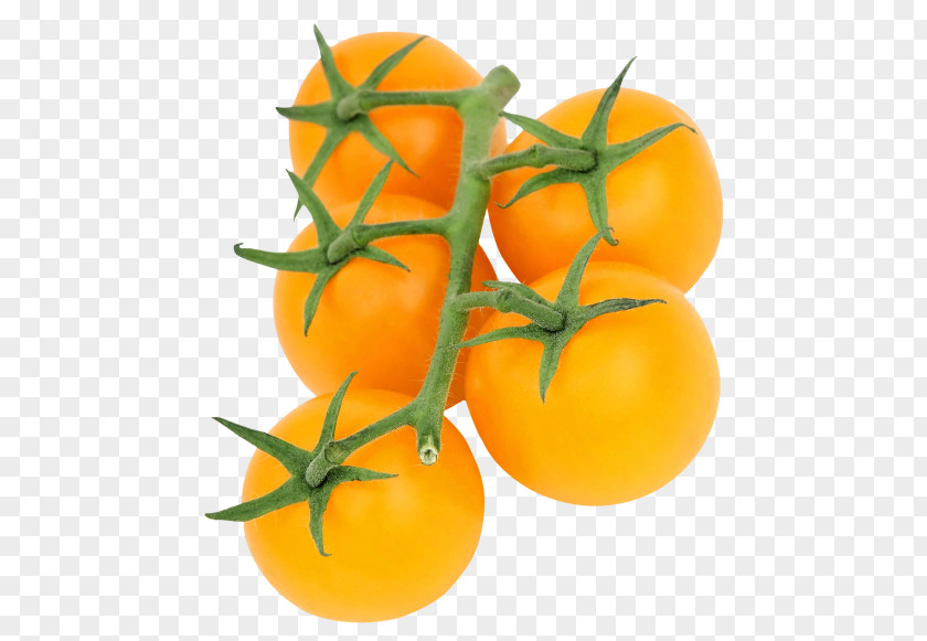 Vegetables Tomato Juice Cherry Pumpkin PNG