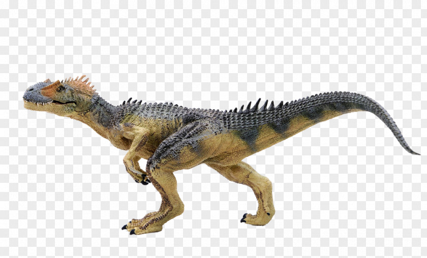 Barbed Dinosaur Allosaurus Vecteur PNG