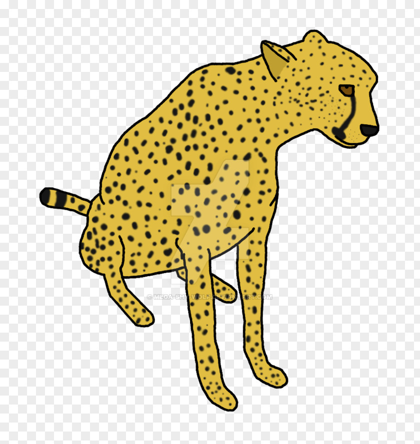 Cheetah Leopard Jaguar Lion Cat PNG