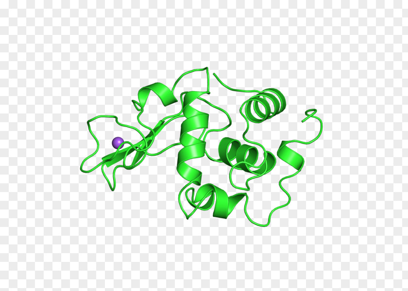 E Coli Cartoon International Genetically Engineered Machine E. Lysozyme Bacteria Clip Art PNG