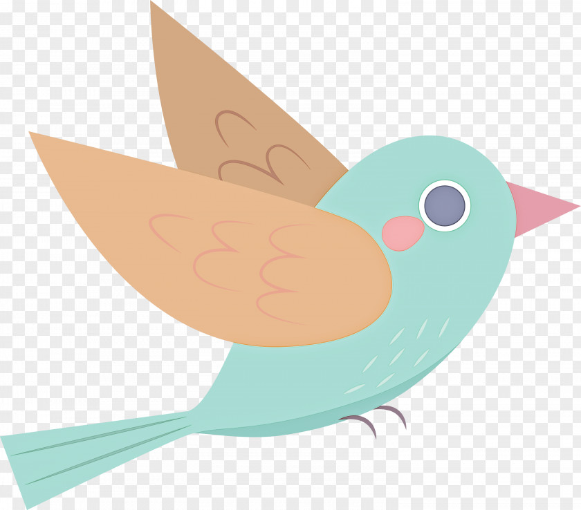 Feather PNG