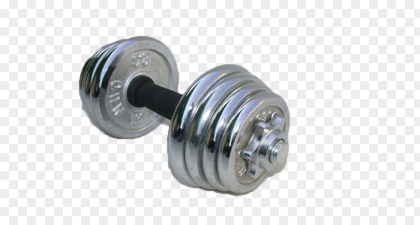 Fitness Dumbbell Barbell Weight Training Physical Exercise Sports Equipment PNG