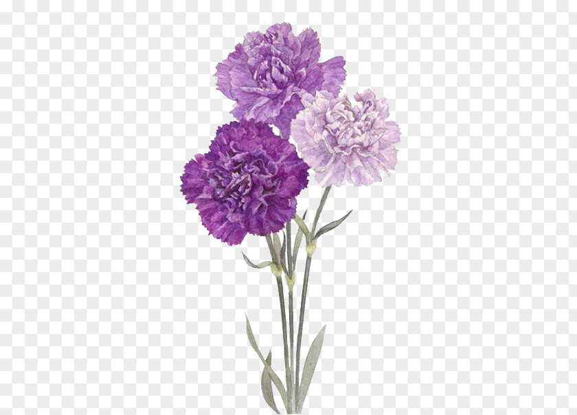 Purple Flowers PNG flowers clipart PNG