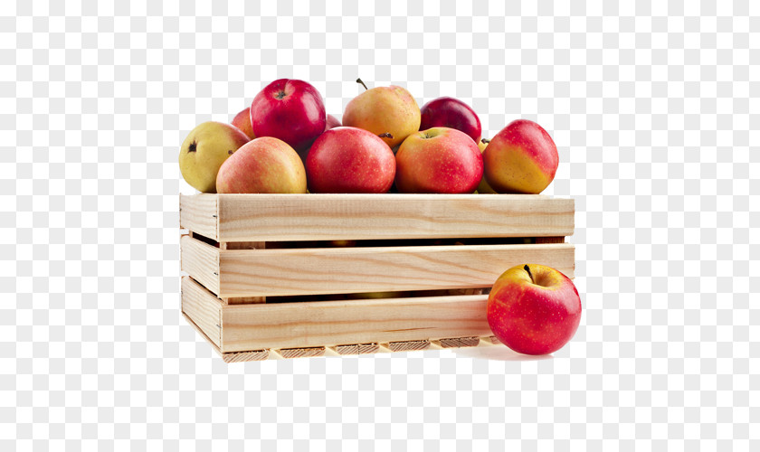 Red Apple Model Organic Food Vegetable Fruit Auglis PNG