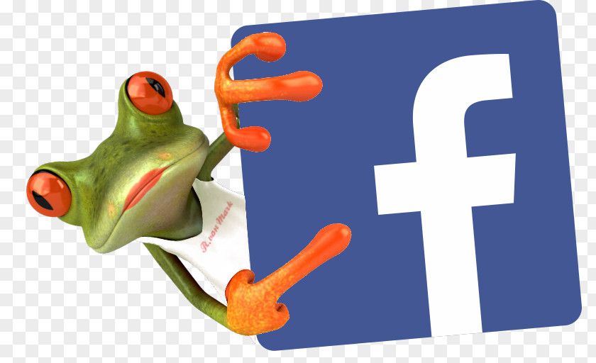 Social Media Marketing Network Facebook PNG