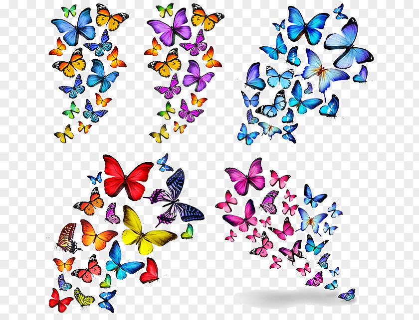 Vector Butterfly Pattern Stock Photography Blue Illustration PNG