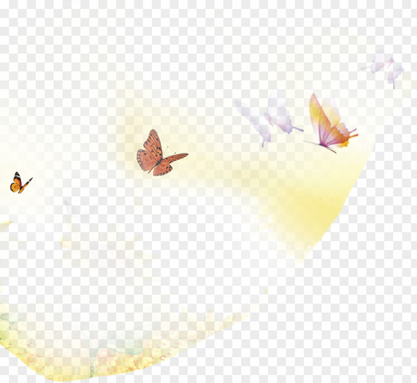 Butterfly Paper Triangle Pattern PNG
