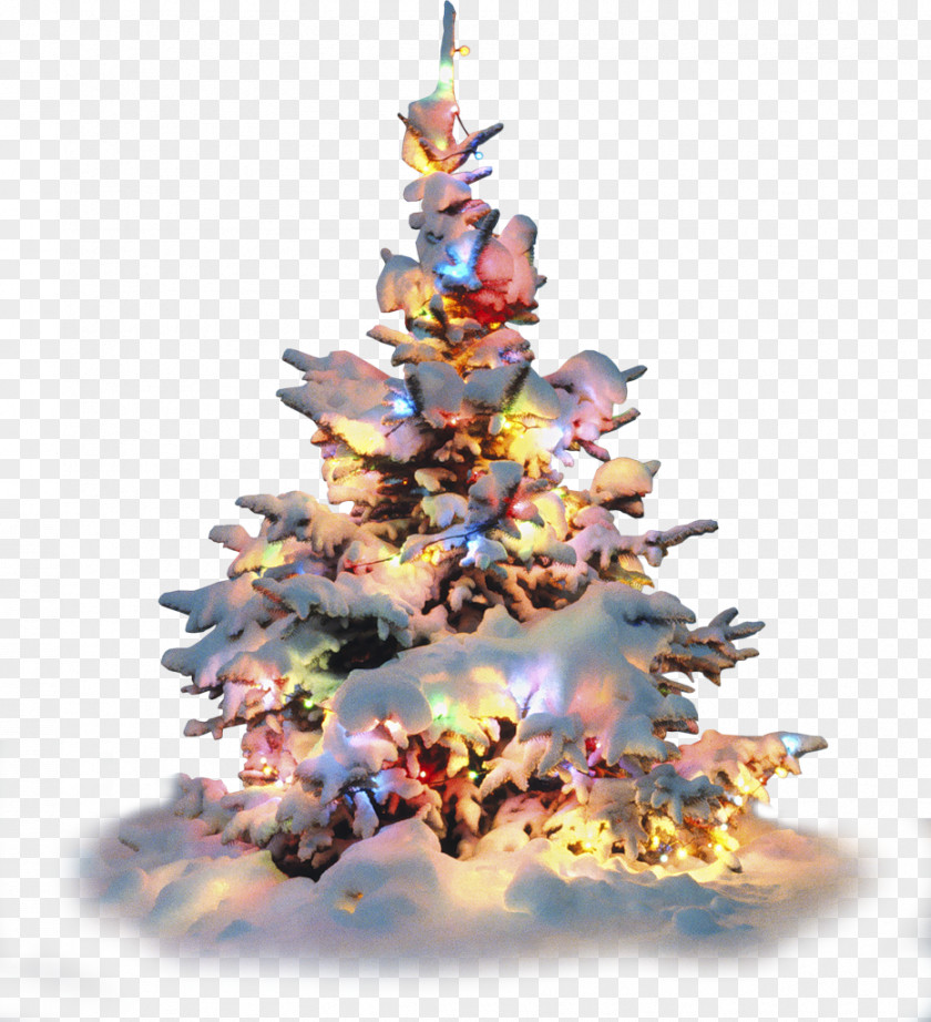 Christmas Artificial Tree Lights Decoration PNG
