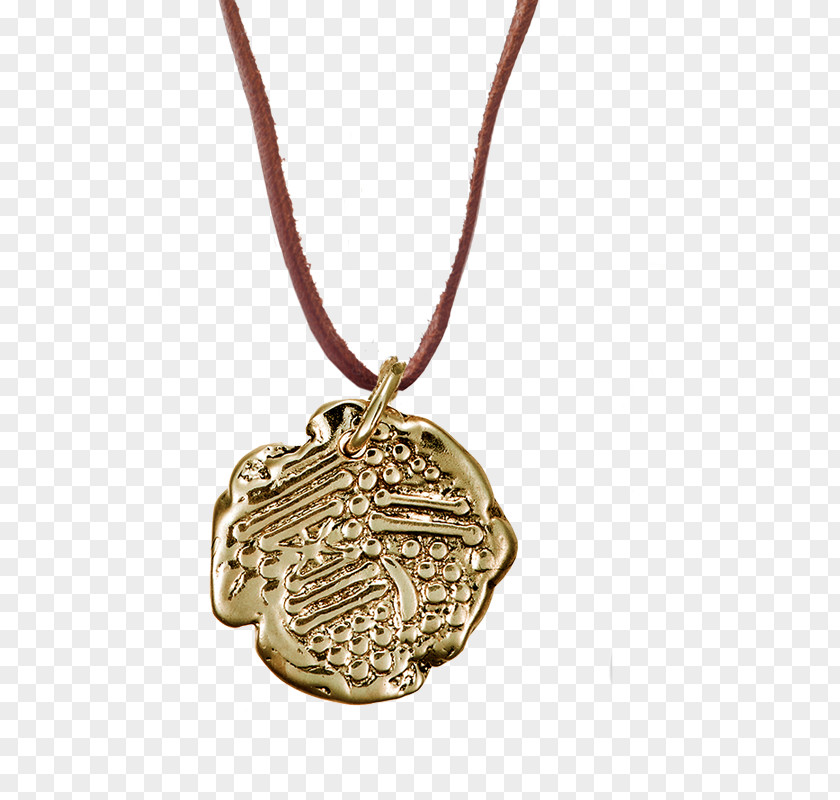 Drop Gold Coins Locket Necklace Silver Chain PNG