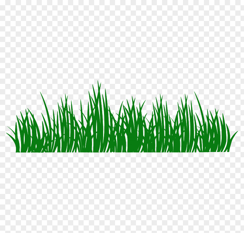 Herbes Sticker Grass Wall Decal Lawn Food PNG