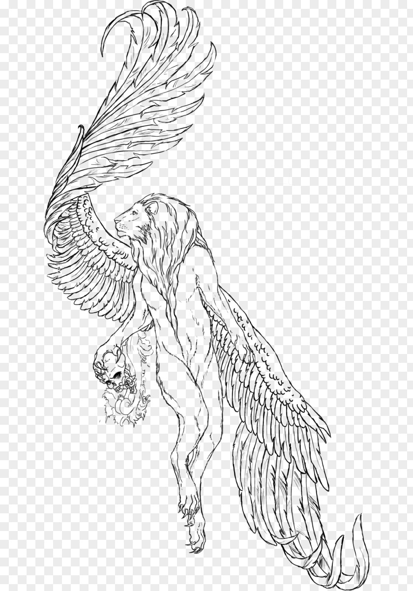 Lion Wings Winged Drawing Sketch PNG