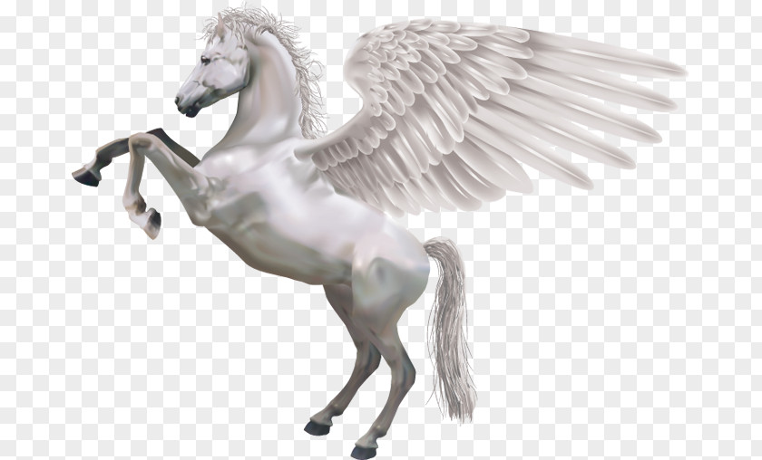 Pegasus Horse Royalty-free Illustration PNG